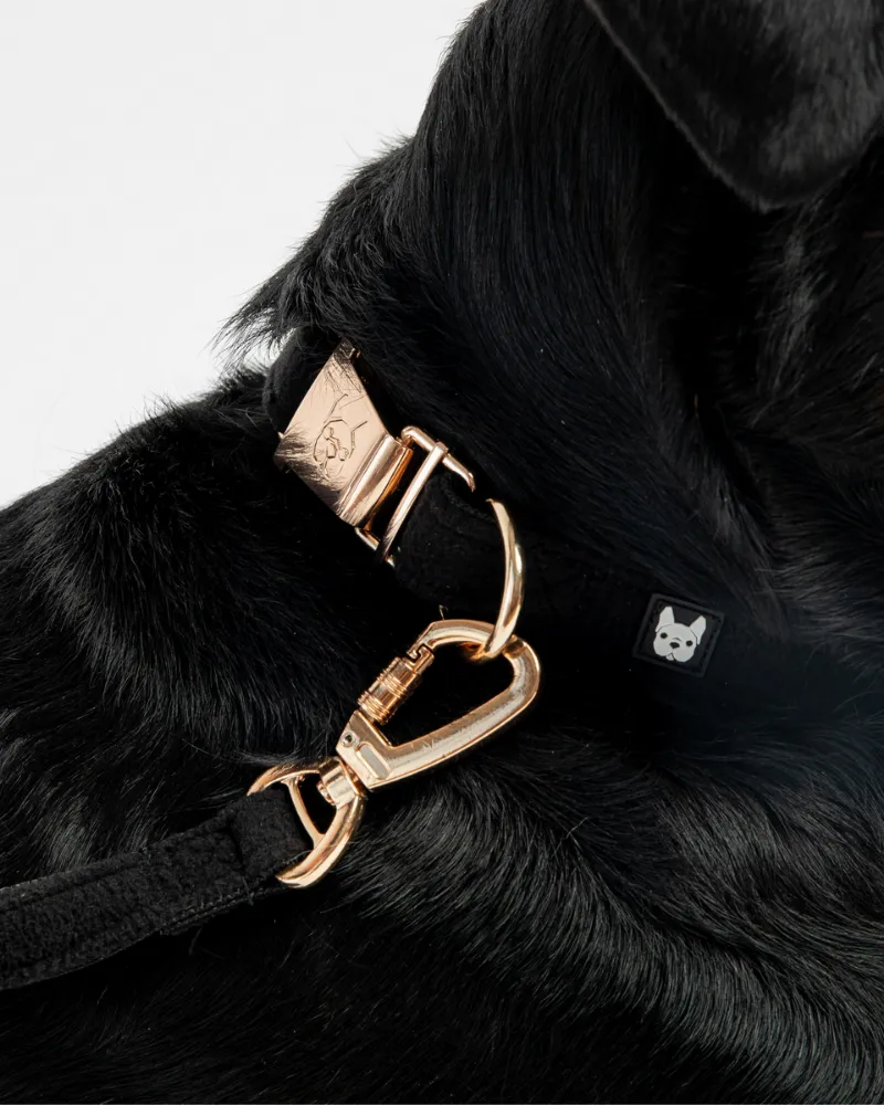 Aquafleece Water Repellant Dog Collar in Black (FINAL SALE)
