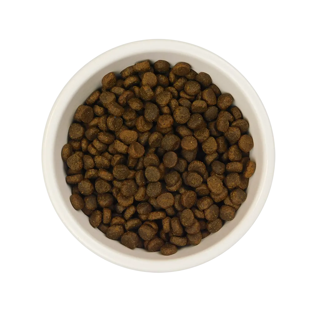 Duck Dry & Turkey Wet Cat Food Bundle