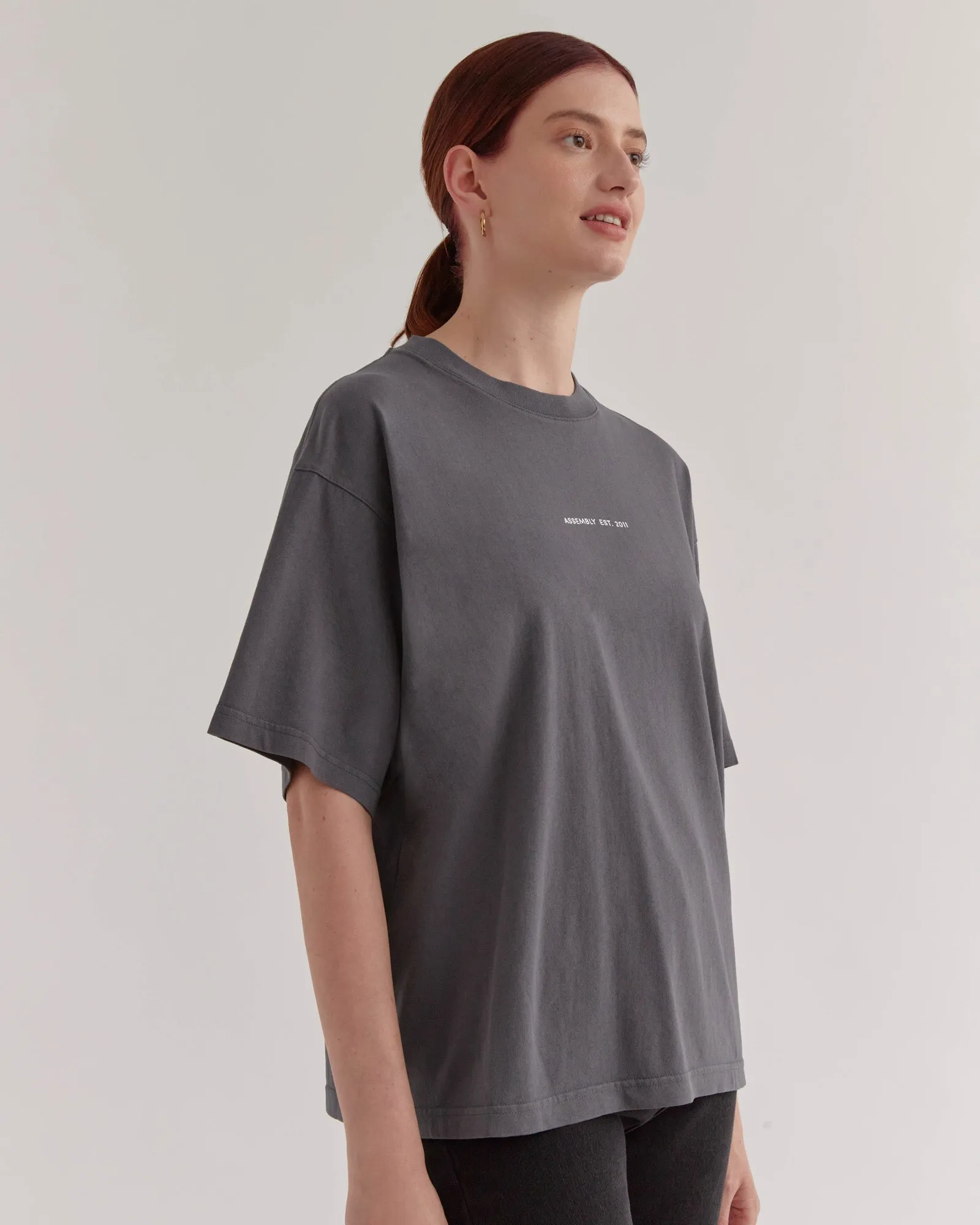 Established Tee Washed Graphite